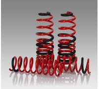 Höherlegungsfedern 30mm passend für Jeep Gladiator (19-24) + TÜV-Teilegutachten