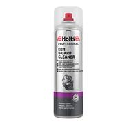 Holts AGR Ventil Reiniger und Vergaserreiniger Spray, 500 ml