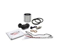 Honda FES125 Pantheon 3 2003 Bremssattelkolben Hinten Dichtung Ersatzteile