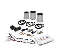 Honda FES125 Pantheon 6 2006 Vorderer Bremszangen Kolben Dichtung Ersatzteile