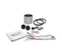 Honda FES125 Pantheon 7 2007 Hinterer Bremszangen Kolben Dichtung Ersatzteile