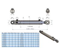 Hydraulikzylinder doppeltwirkend Gelenkauge mit Einschraubverschraubung 12L