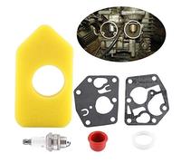 Hztyyier Motore Briggs, Vergaser Ersatzteil Membrandichtung Luftfilter Zündkerze für Kleinmotoren 281028 495770 795083 694394 494408