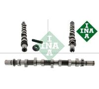 INA Nockenwelle für RENAULT DACIA MERCEDES-BENZ NISSAN 428 0252 10