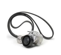 INA 529 0480 20 Keilrippenriemensatz 1841mm 6-Rippenanzahl für VOLVO V70 II (285) 30637070 30637071 30637961