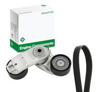 INA 529 0569 10 Keilrippenriemensatz 1179mm 6-Rippenanzahl Kompatibel mit FORD Focus Mk4 Turnier HP 2319646 2319796 2414394