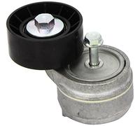 INA Spannarm Keilrippenriemen 534 0101 20 – für Alfa Romeo, Fiat, Lancia