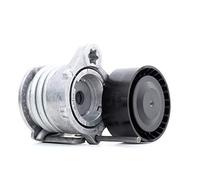 INA 534 0331 10 Spannarm Keilrippenriemen Kompatibel mit BMW 3 Touring E91