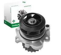 INA 538 0006 10 Kühlmittelpumpe Motorkühlung Wasserpumpe 19-Zähn für VW Golf IV Schrägheck (1J1) 038121011 038121011A 038121011AV