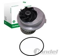 Wasserpumpe INA 538 0131 10