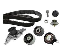 INA | Wasserpumpe + Zahnriemensatz | 530 0416 31