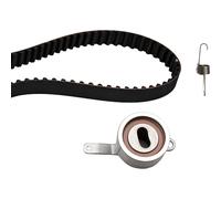 INA | Zahnriemensatz | 530 0313 10