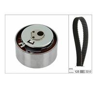 INA | Zahnriemensatz | 530 0564 10