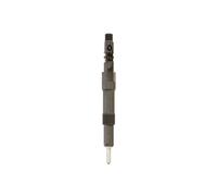 Einspritzventil DELPHI R01101D-12B1 für FORD