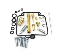 Instandsetzung Bausatz Motorrad-Vergaser-Reparatursatz Für Suzuki GSF1200 Bandit GV75A GSX-R750 GSX-R1100, Reparaturwerkzeug Ölablassschraube Düsendichtung(Farbe1)