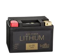 Intact LiFePO4-Batterie LTM18 wartungsfrei 4250227553063