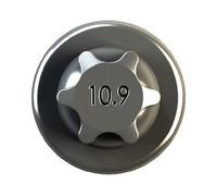 IPSA COB00300 Pleuelschraube für AUDI JAGUAR LAND ROVER MERCEDES-BENZ