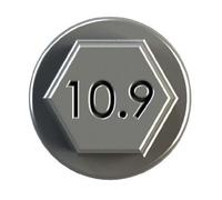 IPSA Pleuelschraube COB00600