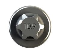 IPSA Pleuelschraube COB00300 M8x1 für VW TOUAREG 7P5 7P6 VAN TDI 4motion KLASSE