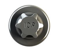 IPSA Pleuelschraube COB00500 M7x1 für OPEL INSIGNIA Sports Tourer G09 Country 3