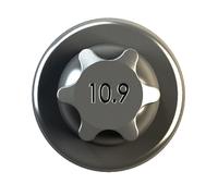 IPSA Pleuelschraube für Meriva A Astra Mk V (H) Idea Fiorino FIAT Doblo Panda Van 500 Qubo ALFA ROMEO Mito Grande Punto Linea Indica Vista LANCIA Musa