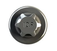 IPSA Pleuelschraube cob00900 für Iveco BMC
