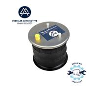 Iveco Daily 65C, 70C Luftfeder Luftfederung hinten links