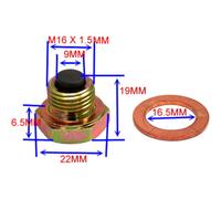 JMP Magnet-Ölablassschraube für besten Motorschutz SEF S K FXRS-SP SCF HP4 R1800