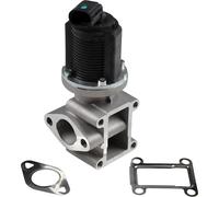 Jp Group AGR-Ventil [Hersteller-Nr. 3319900300] für Alfa Romeo, Fiat, Vauxhall, Saab, Cadillac, Opel, Lancia