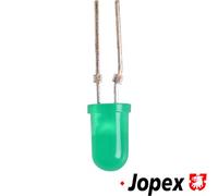 JP GROUP Glühlampe, Instrumentenbeleuchtung 1195903700 für VW