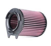 K&N Filters E-0661 Sportluftfilter Motor Luftfilter Rund Langzeitfilter