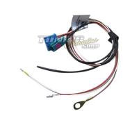 Kabelbaum Adapter Standheizung Telestart T90 T91 T91R inkl Antenne für Webasto