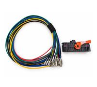 Kabelbaum Reparatur-SATZ Tür kompatibel mit VW Golf V 2003/10-2006/07 1K1
