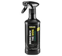 KÄRCHER Innenraumreiniger Kunststoffreiniger 500 ml, 1 St. St.