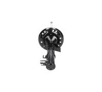 KAVO PARTS SSA-10408 Stoßdämpfer