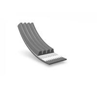 Keilriemen,mehrrippig EPDM (Ethylen-Propylen-Dien-Kautschuk) 050 004 1075 MEYLE