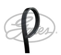 Keilrippenriemen GATES 4PK1063