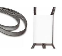 Keilriemen,mehrrippig FB 6PK820 INA für TOYOTA NISSAN VW SEAT SKODA