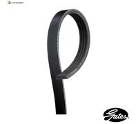 KEILRIPPENRIEMEN 4PK1038 FÜR INFINITI DODGE PONTIAC MAZDA FAMILIA/Station 323