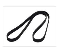 Keilrippenriemen BOSCH 1 987 946 254