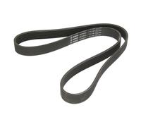 Keilrippenriemen BOSCH 1 987 948 321