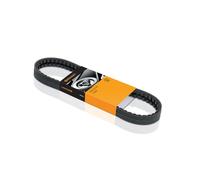 Continental Keilrippenriemen CTAM 7PK1240 – passend für Alfa Romeo, Fiat, Renault, Smart