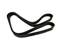 Keilrippenriemen DT Spare Parts 1.21194