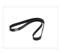 Keilrippenriemen DT Spare Parts 6.31512