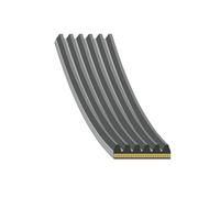 Keilrippenriemen FEBI BILSTEIN 185841