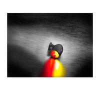 Atto DF, Blinker-Rück-Bremslicht