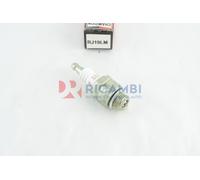 Champion Zündkkerze RJ19LM vergleichbar mit WR11EO 2513202 BS19LM Rasenmäher