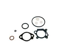 Kit Dichtungen Vergaser Für Motor BRIGGS&STRATTON 9 10 HP Vertikal