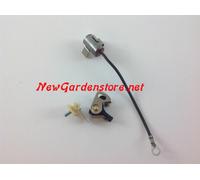 Kit Paar Kontakte Für Motor ASPERA TECUMSEH 310075 + 310076 1632001