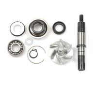 Kit Reparatur Pumpe Wasser Daelim s3 125 Motorrad Motor Ersatzteile